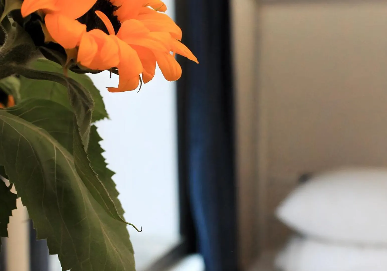 Warsaw Hostel Centrum